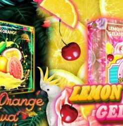 Gold Coast Clear Lemon Cherry Gelato / Passion Orange Guava Summer Edition